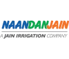 наан